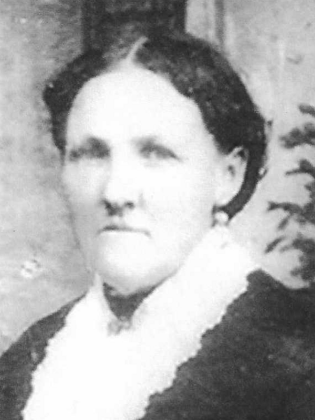 Catherine Picton (1848 - 1928) Profile
